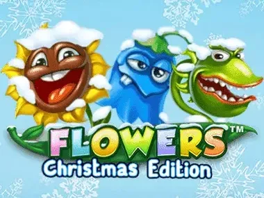 Flowers Christmas Edition