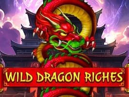 Wild Dragon Riches screenshot